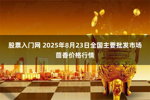股票入门网 2025年8月23日全国主要批发市场茴香价格行情