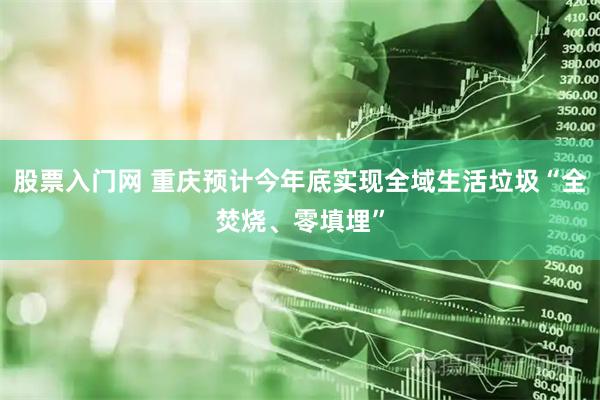 股票入门网 重庆预计今年底实现全域生活垃圾“全焚烧、零填埋”